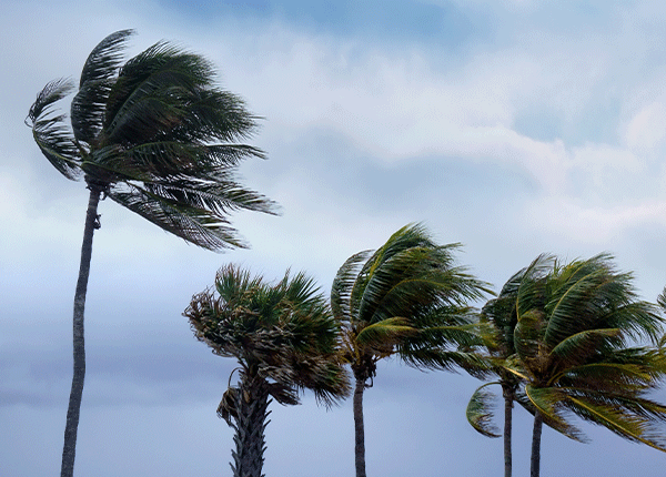 Protecting the federal workforce during hurricane season